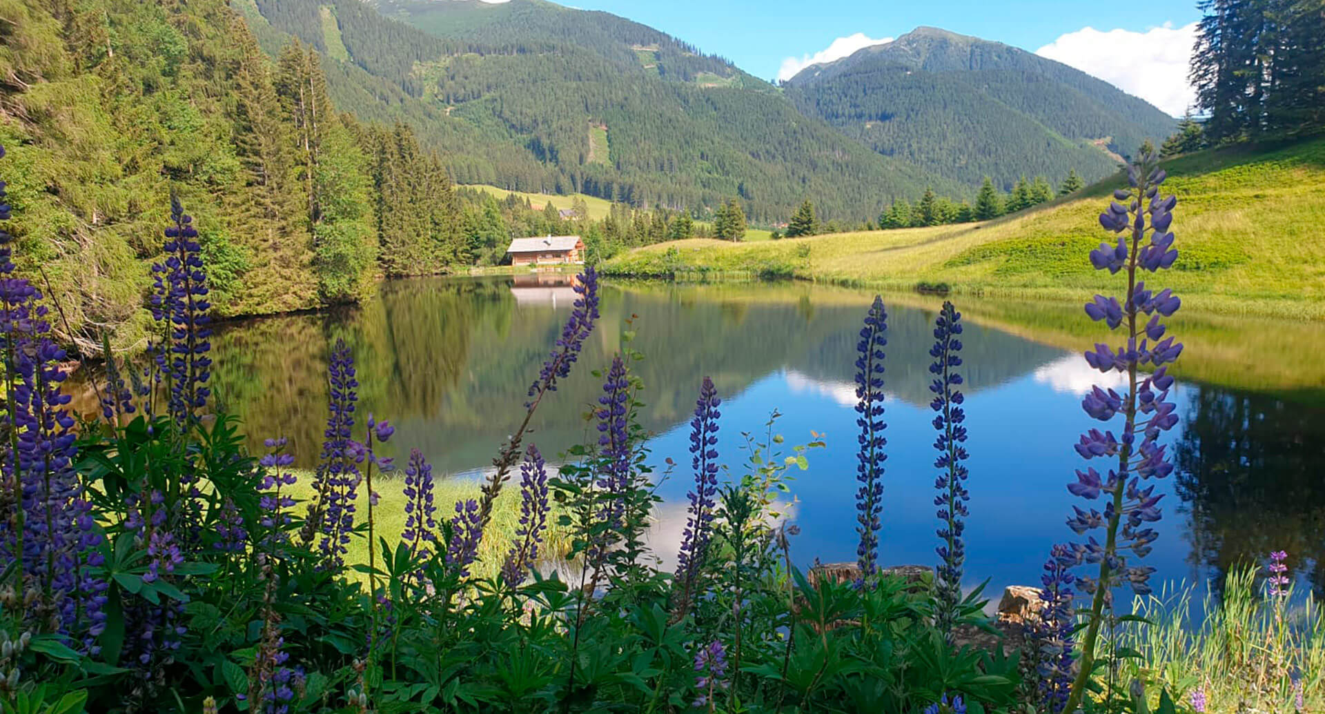 Petschk Kräuterwanderung